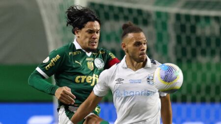 Veja se você pode assistir ao Palmeiras ao vivo grátis neste aplicativo: Globoplay, Premiere, Prime Video e HBO Max