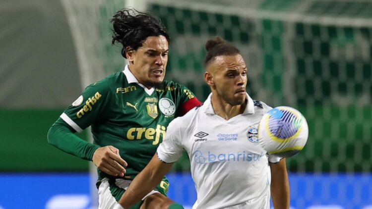 palmeiras